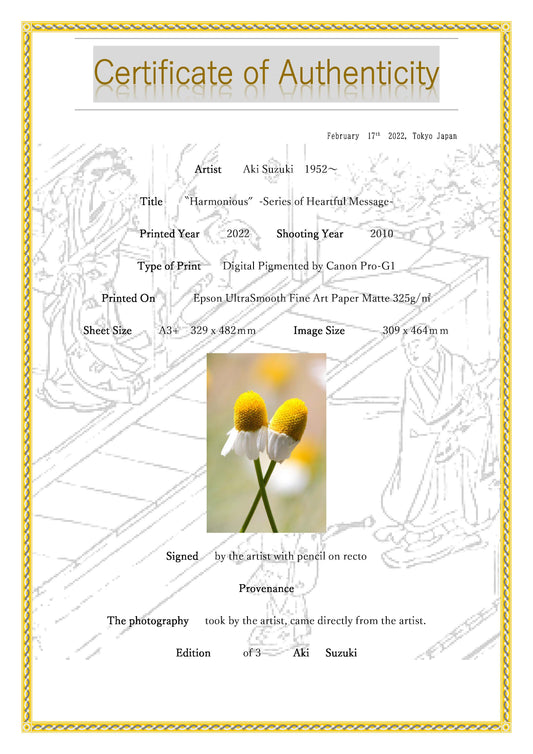 「なかよし色」 ー夢心地シリーズー